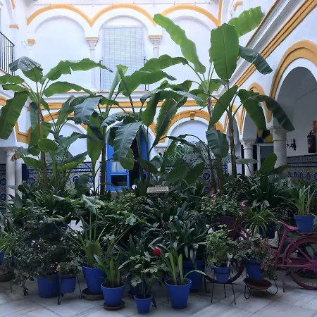 Pensión La Casa En El Centro